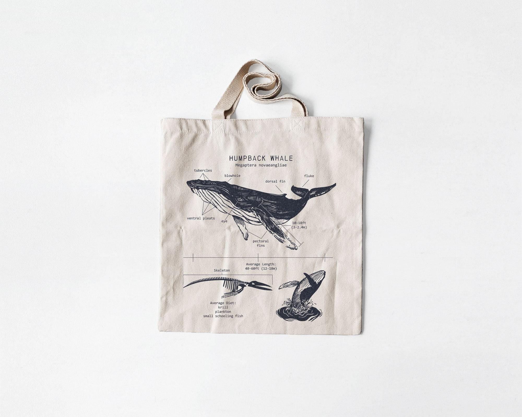 Humpback Whale Anatomy Tote Bag, Humpback Whale Tote Bag, Whale Biology, Screen Printed Whale Tote, Marine Biology Humpback Bag, Whale Art
