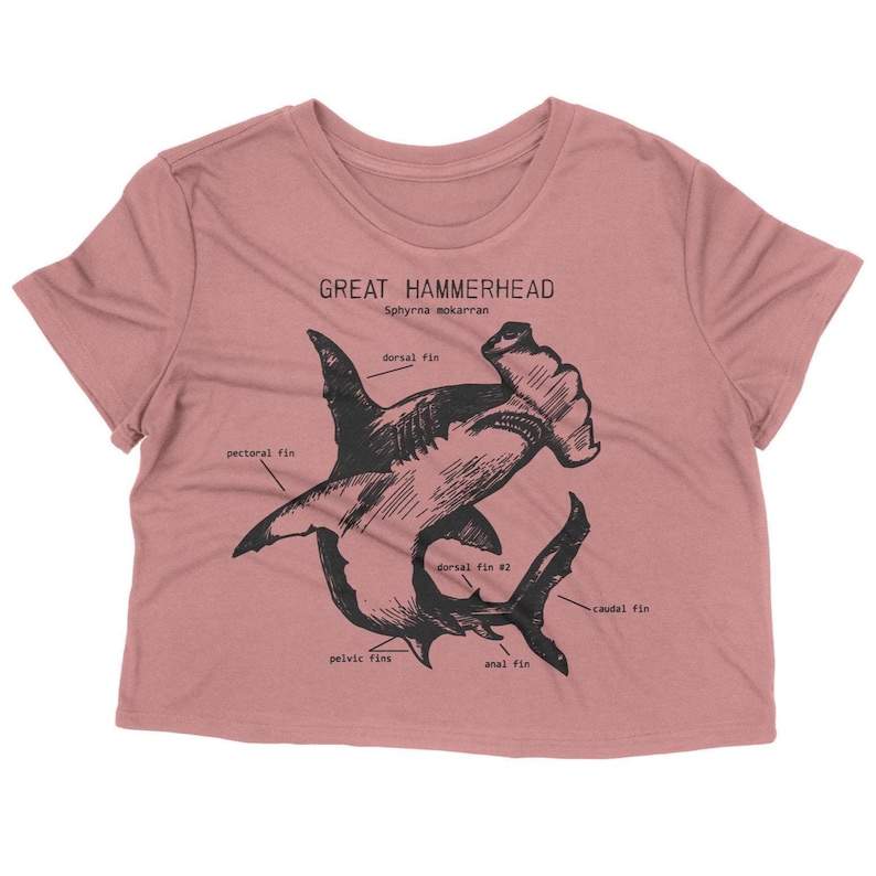 Hammerhead Anatomy Crop Top, Hammerhead Shark Crop Top, Shark Gifts for Girls, Hammerhead Shirt for Women, Marine Biology Crop Top Palo de Rosa