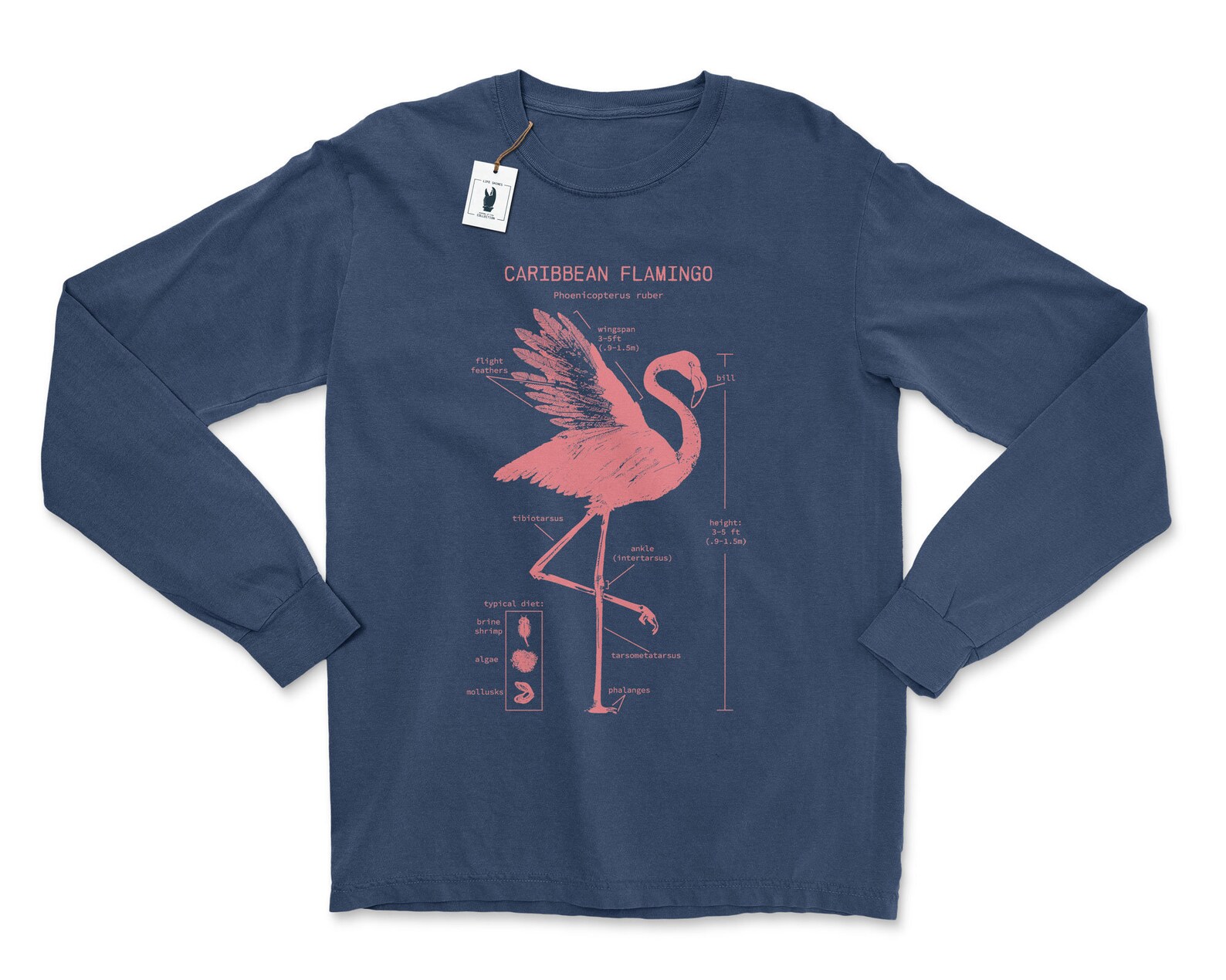 Flamingo Anatomy Long Sleeve Flamingo Shirt Pink Flamingo Etsy