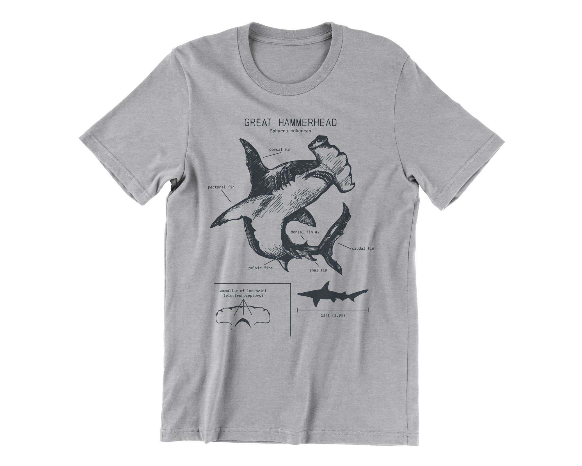 Great Hammerhead Anatomy Tshirt Hammerhead Shark Shirt Etsy