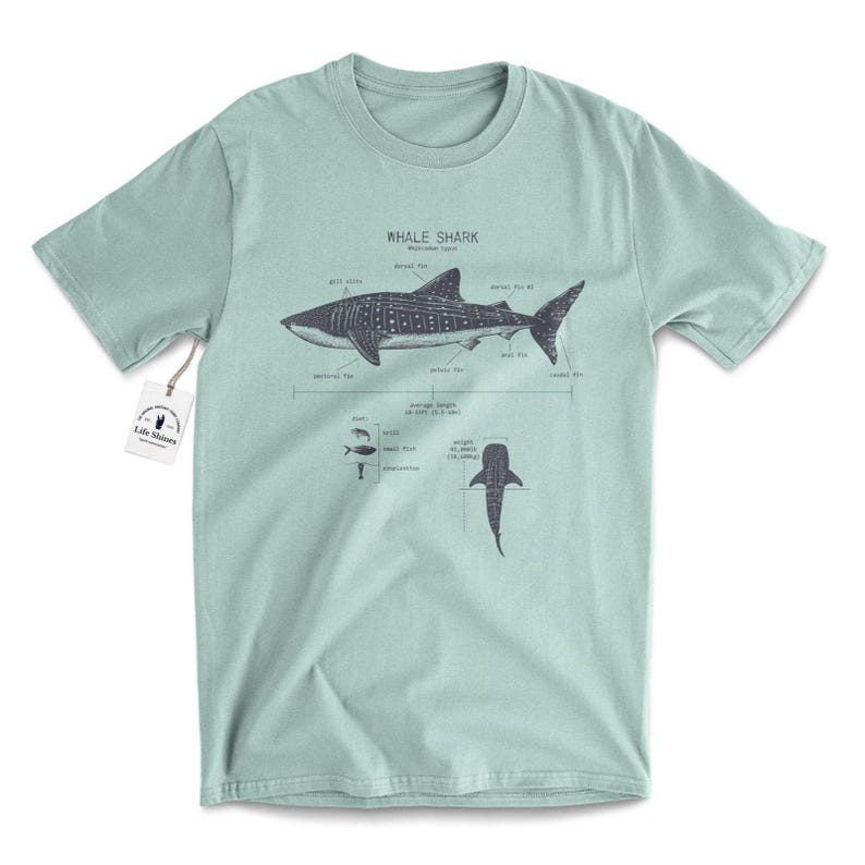 May include: A light blue t-shirt with a whale shark illustration and anatomical details. The text "Whale Shark" and "Rhincodon typus" is printed on the shirt.