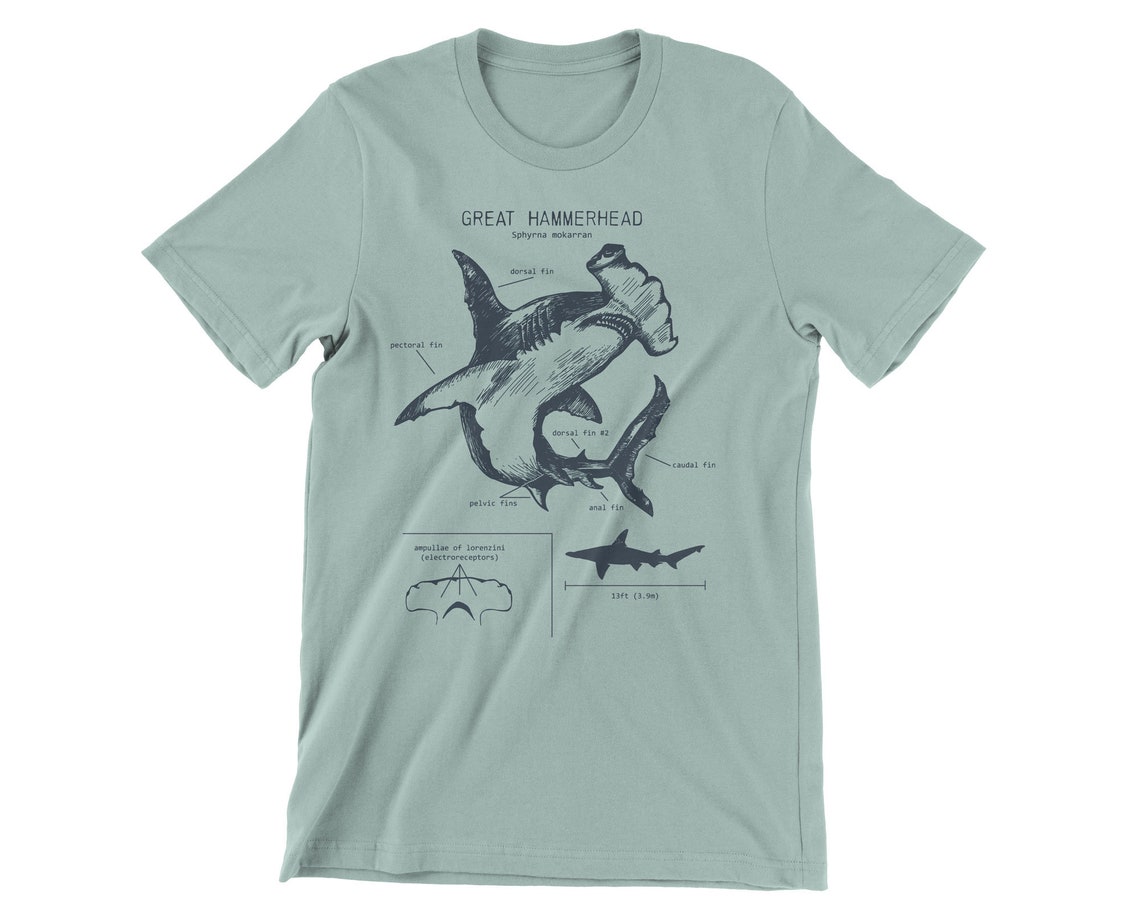 Great Hammerhead Anatomy Tshirt Hammerhead Shark Shirt Etsy