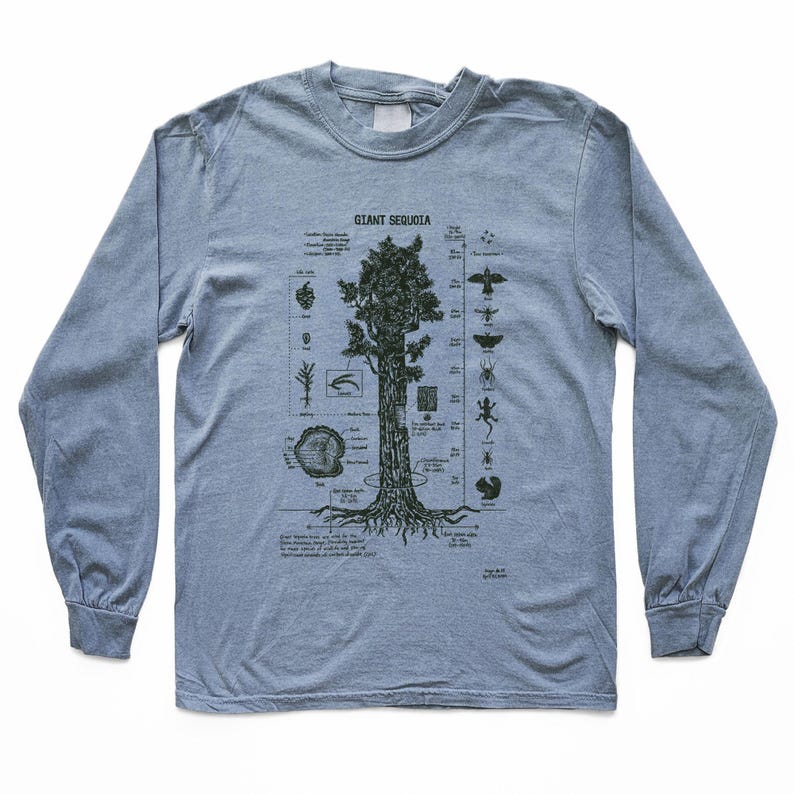 Giant Sequoia Botanical Diagram Long Sleeve Shirt: Hand Screen Printed With Water Based Inks image 2
