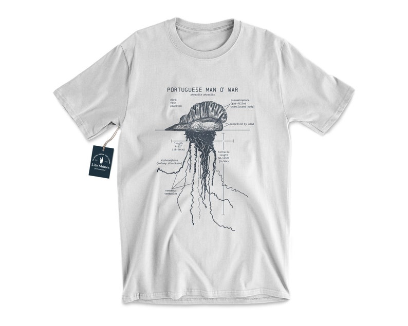 Portuguese Man O' War Anatomy T shirt, Marine Biologist T Shirt, Man O' War T Shirt, Blue Bottle Jellyfish Shirt, Vintage Beach T Shirt Sterling