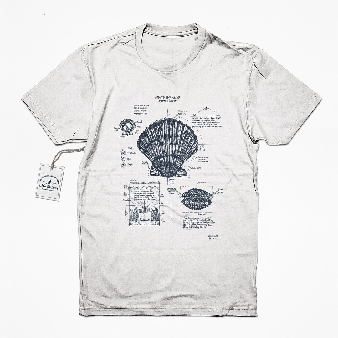 T-shirt Homme Atlantic Bay – Bleu – Coton – Taille M – Manches Courtes