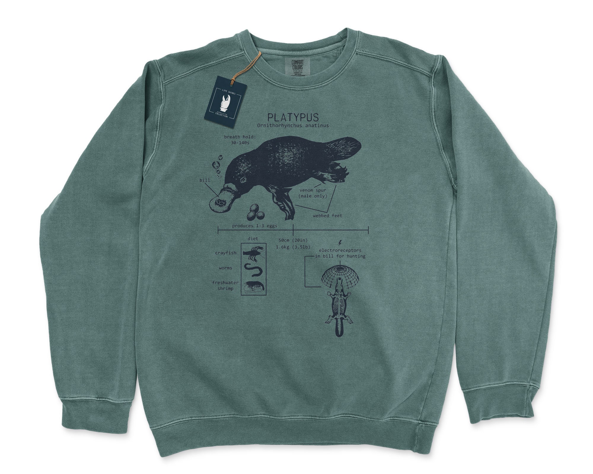 Platypus Anatomy Sweatshirt Duck Billed 