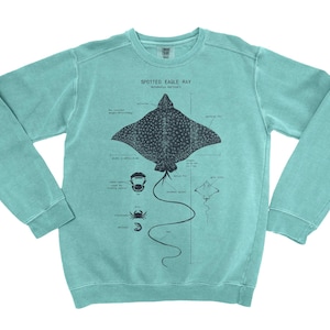 Spotted Eagle Ray Anatomy Sweatshirt: Eagle Ray Biology Design - Hand Screen Printed Sweatshirt