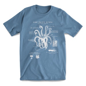 Octopus Anatomy T-shirt, Beach Tee, Octopus Shirt, Octopus Gifts, Marine Biology Gifts, Original Octopus Drawing Pacific