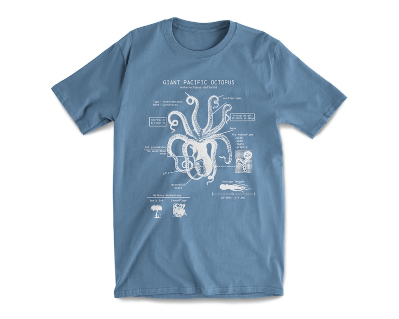 Octopus Anatomy T-shirt, Beach Tee, Octopus Shirt, Octopus Gifts, Marine Biology Gifts, Original Octopus Drawing Pacific