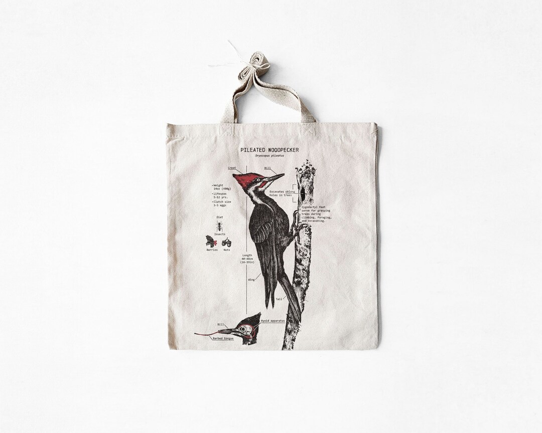 Pileated Woodpecker Anatomy Tote Bag, Woodpecker Biology Tote Bag, Bird