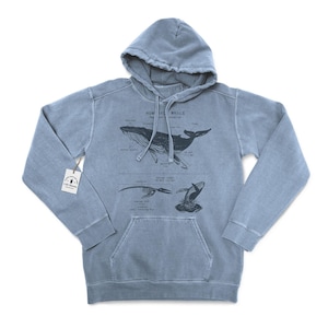 Humpback Whale Anatomy Hoodie, Humpback Sweatshirt, Marine Biologist Sweatshirt, Humpback Whale Watching Sweatshirt