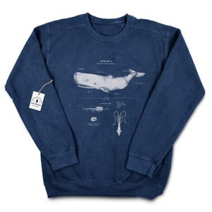 Sperm Whale Anatomy Sweatshirt, Marine Biology Whale Shirt, Whale Watching Sweatshirt, Hand Screen Printed Sperm Whale Biology Sweatshirt