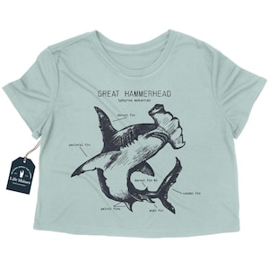 Hammerhead Anatomy Crop Top, Hammerhead Shark Crop Top, Shark Gifts for Girls, Hammerhead Shirt for Women, Marine Biology Crop Top Seafoam Green