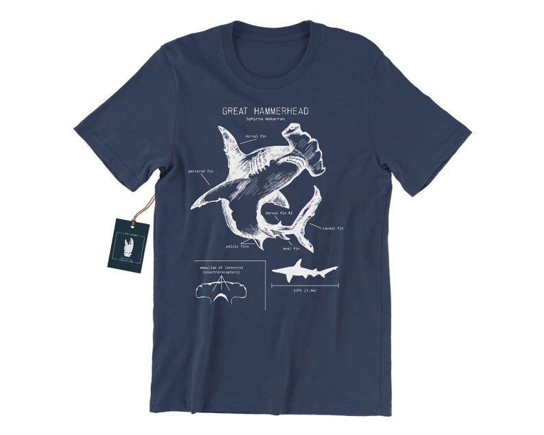 Great Hammerhead Anatomy Tshirt Hammerhead Shark Shirt Etsy