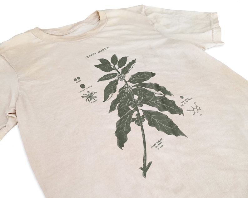 Coffee Dyed Botany Diagram T Shirt, Coffee Dyed Shirt, Screen Printed Coffee T Shirt, Botanical Coffee Art image 3