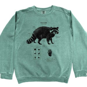 Raccoon Anatomy Sweatshirt, Raccoon Biology Sweatshirt, Hand drawn Raccoon Art, Hand Screen Printed Raccoon Sweatshirt