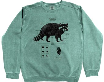 Sudadera con anatomía de mapache, sudadera con biología de mapache, arte de mapache dibujado a mano, sudadera con mapache serigrafiada a mano