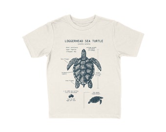 T-shirt anatomie tortue de mer pour jeune, chemise tortue caouanne, chemise tortue pour enfants, cadeaux tortues de mer, t-shirt tortue, chemise biologie marine