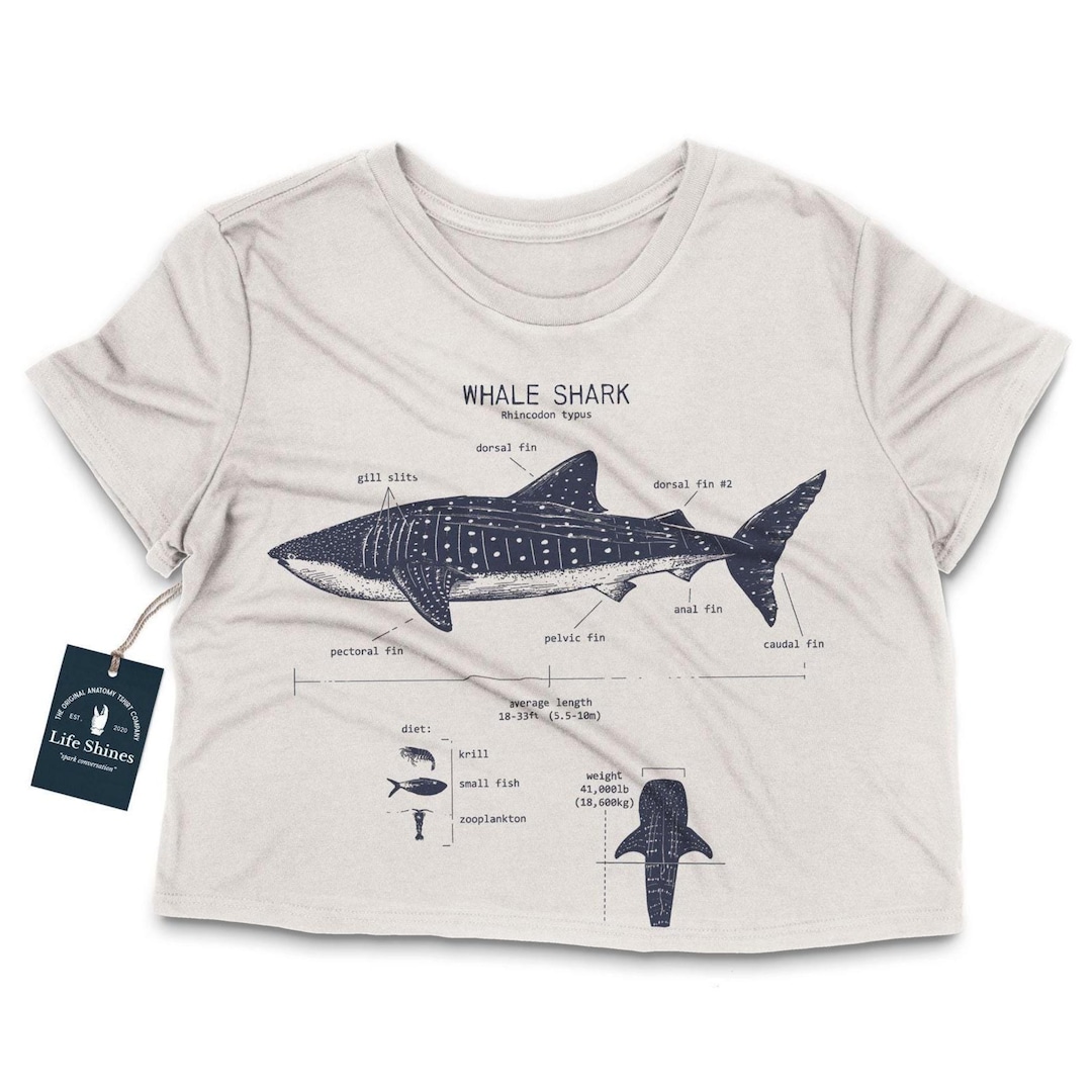 Walhai Anatomie Shirt, Damen Hai Shirt, Haifisch Crop Top
