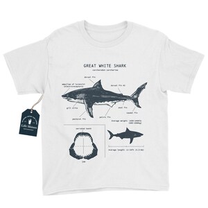 Jugend Weißer Hai Anatomisch T-Shirt, Hai T-Shirt, Hai Geschenke für Kinder, Lern-T-Shirt, Wildtier-Shirt für Kinder, Kinderhai-Shirt Bild 2