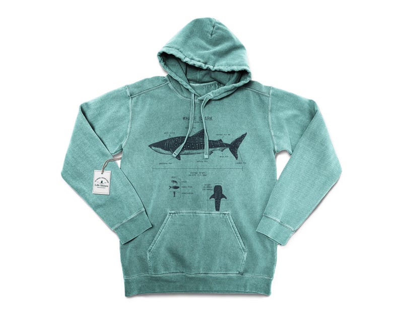 Whale Shark Anatomy Hoodie, Whale Shark Biologist Hoodie, Screen Printed Whale Shark Sweatshirt, Marine Biology Whale Shark Art image 3