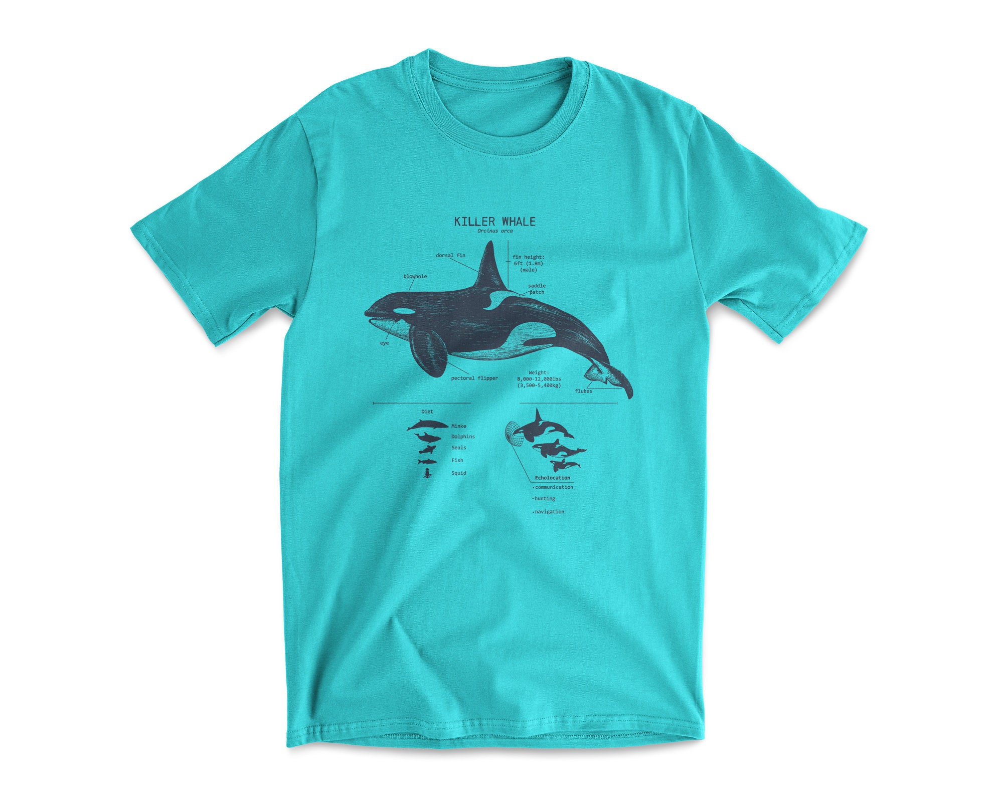 Discover Killer Whale Anatomy T shirt