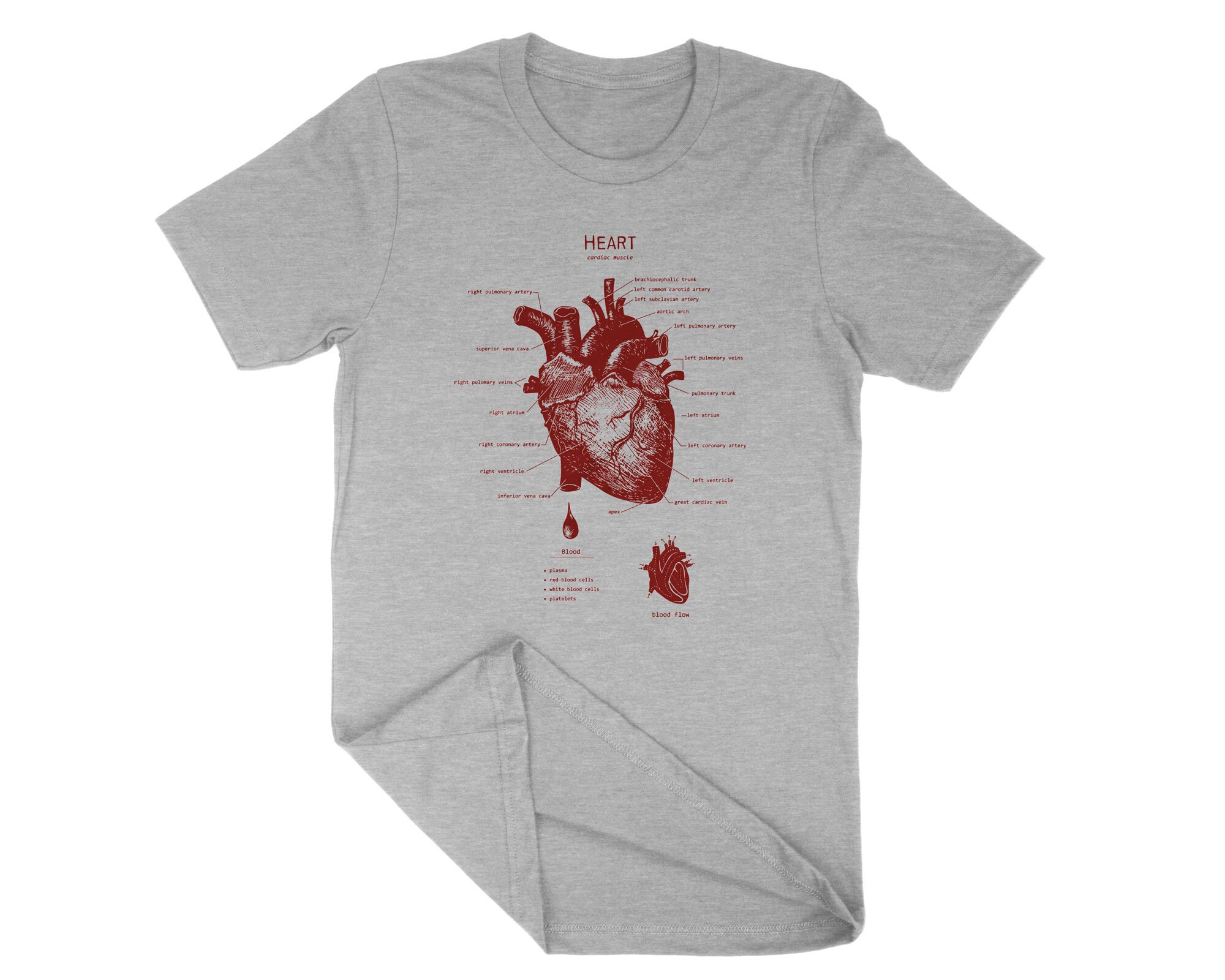 Heart Anatomy Tshirt Cardiac Muscle Shirt Doctor Tshirt Etsy