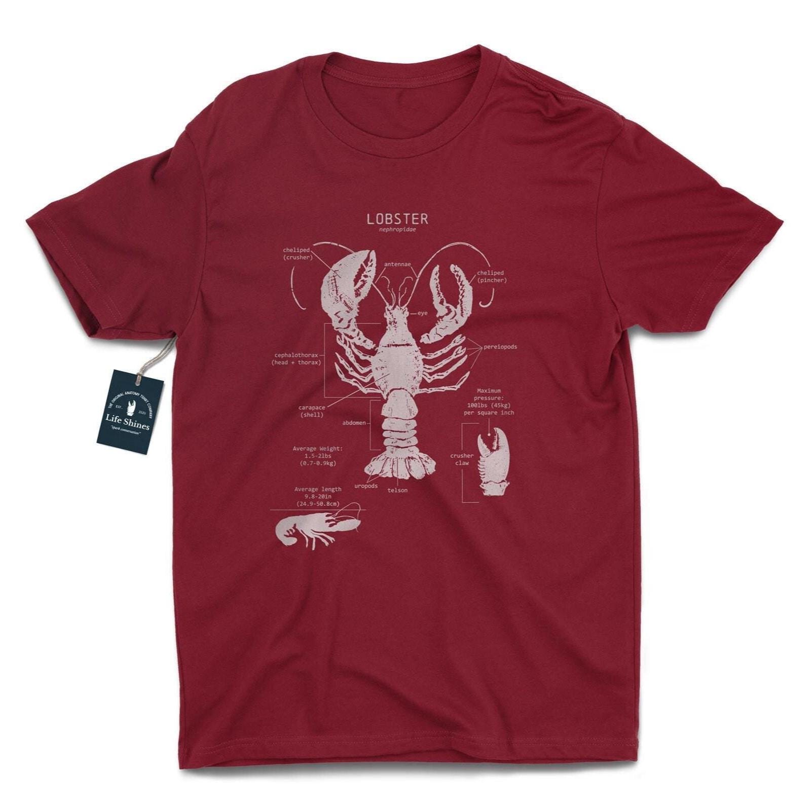Lobster Anatomy T-shirt, Vintage Lobster Art, Marine Biology Shirt, Cape Cod Gift, Beach T Shirt, Maine Lobster Shirt, Lobster Gift