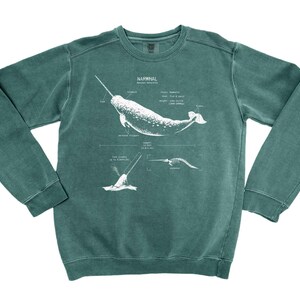 Narwhal Anatomy Sweatshirt: Marine Biology Gift, Screen Printed Sweater Spruce Green