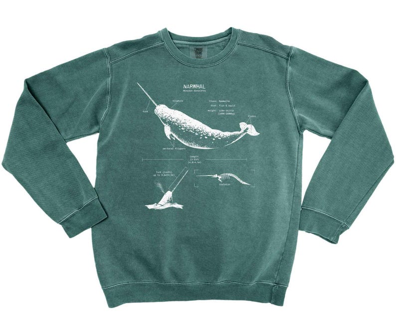 Narwhal Anatomy Sweatshirt: Marine Biology Gift, Screen Printed Sweater Spruce Green