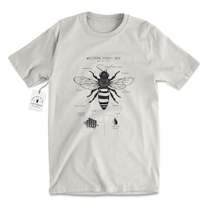 Honey Bee Anatomy T shirt, Western Honey Bee T Shirt, Bee Keeper Shirt, Original Bee Artwork, Honey Bee Biology, Honey Bee Animal Anatomy™ Sand