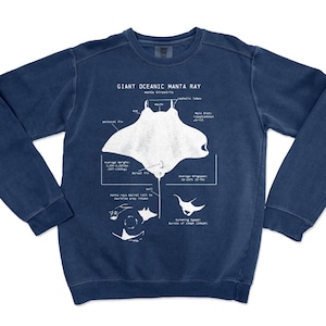 Manta Ray Anatomy Sweatshirt, Manta Ray Sweater, Marine Biologist Sweatshirt, Shark Sweatshirt, Hand Screen Printed Manta Ray Sweatshirt