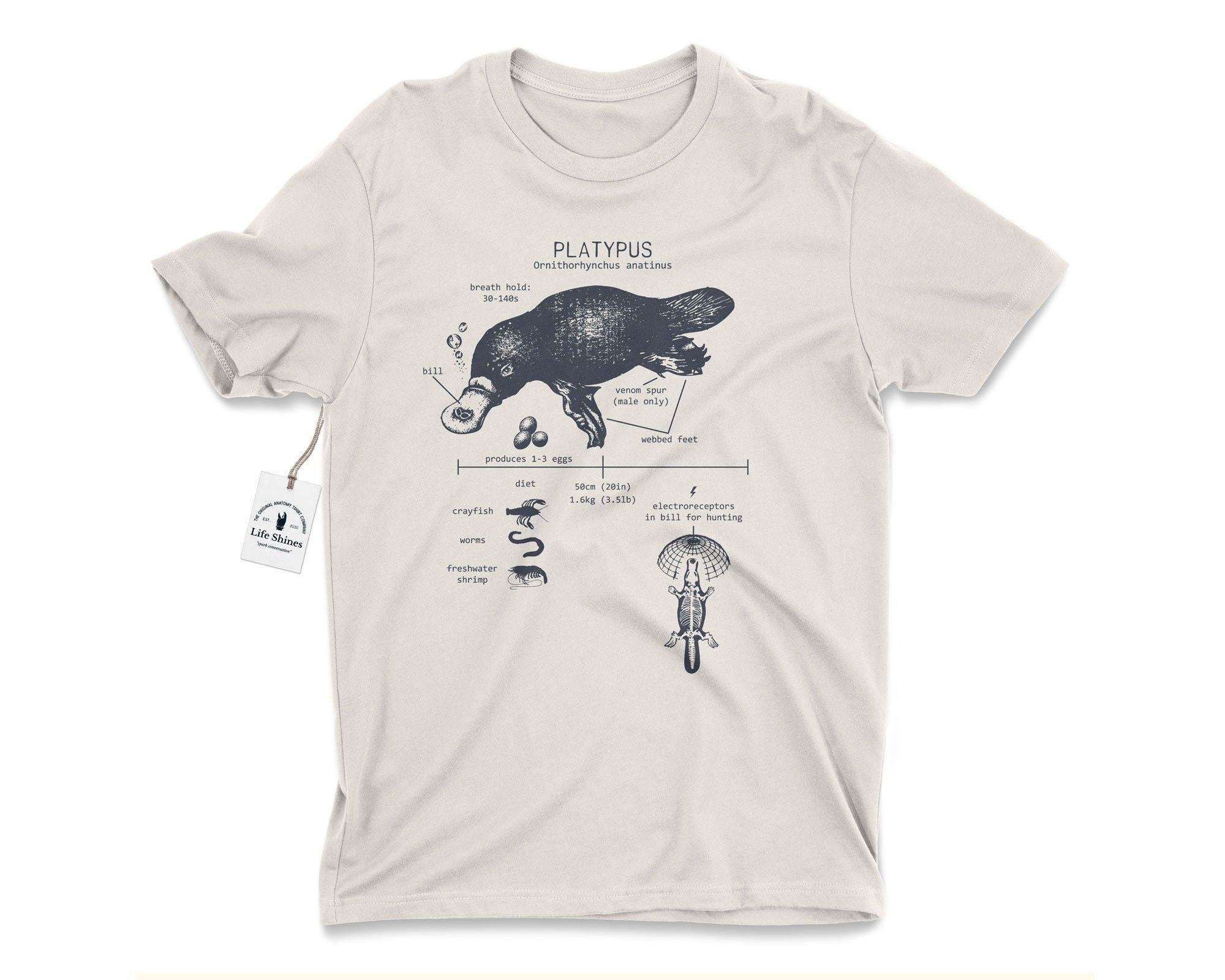 Platypus T-shirt Billed Platypus Australia - Etsy