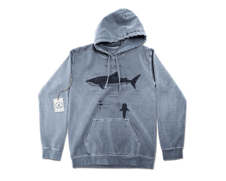 Whale Shark Anatomy Hoodie, Whale Shark Biologist Hoodie, Screen Printed Whale Shark Sweatshirt, Marine Biology Whale Shark Art image 1