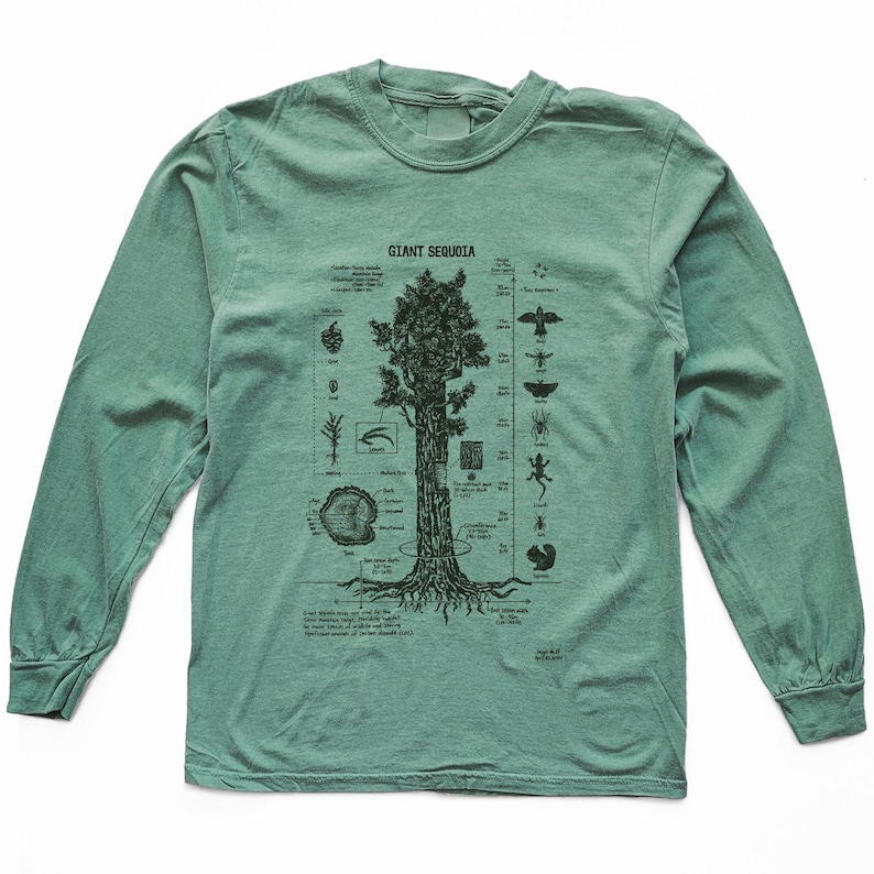 Giant Sequoia Botanical Diagram Long Sleeve Shirt: Hand Screen Printed With Water Based Inks image 1