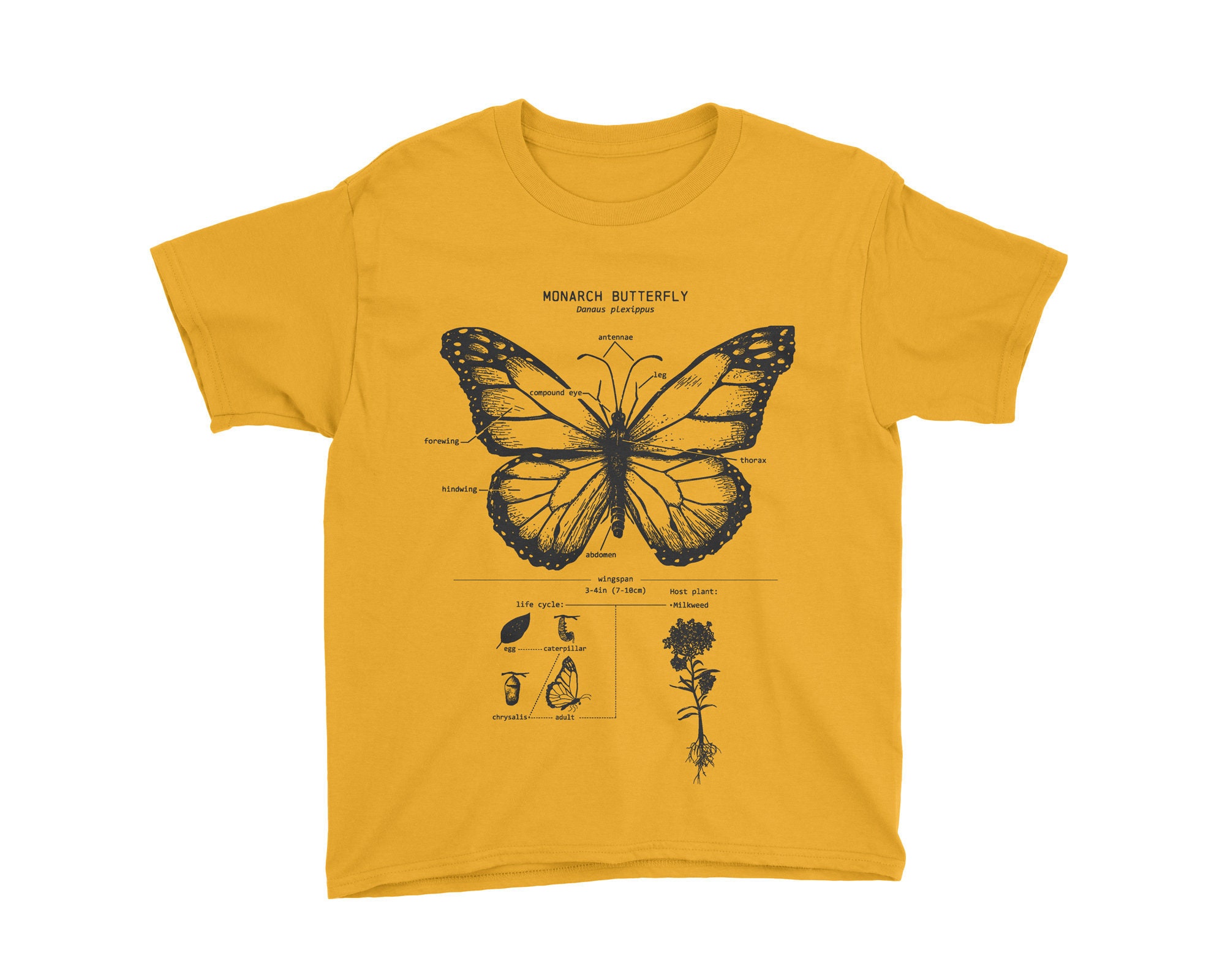 Kids Monarch Butterfly Anatomy T-shirt 
