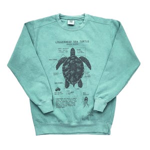 Sea Turtle Anatomy Sweatshirt, Loggerhead Sea Turtle Biology, Marine Biology Sweatshirt, Hand Screen Printed Loggerhead Sea Turtle Art
