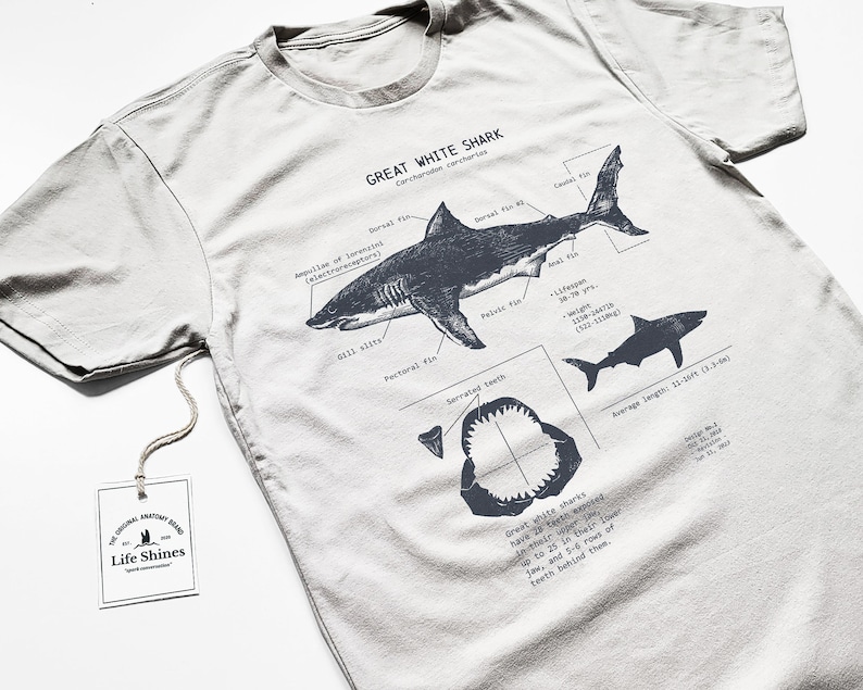 Great White Shark Anatomy T-shirt, Shark Shirt, Great White Shark Biology Shirt, Shark Gift, Great White Shark Drawing, Marine Biology Shirt imagem 3