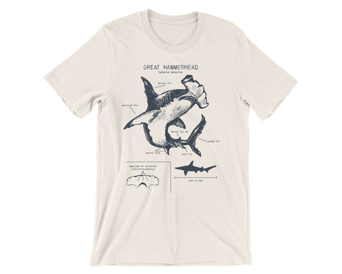 Great Hammerhead Anatomy Tshirt Hammerhead Shark Shirt Etsy