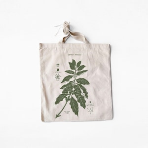 Coffea Diagram Tote Bag, Coffee Tote Bag, Natural Cotton Canvas Bag, Coffee Bean Bag, Botanical Tote Bag, Original Coffee Artwork