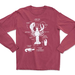 Lobster Anatomy Long Sleeve, Lobster Shirt, Marine Lobster Long Sleeve T-shirt, Lobster Art, Lobster Biology Shirt, Lobster Screen Print