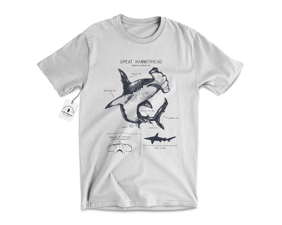 LifeShines Great White Anatomy Sweatshirt, Shark Sweatshirt, Nautical Art, Science Illustration, Great White Shark, Shark Sweatshirt, Shark Gifts