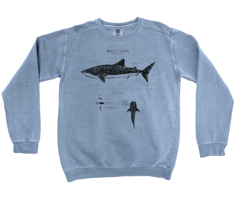 Sudadera con anatomía del tiburón ballena, regalo de tiburón ballena, biología marina, sudadera con tiburón, pareo de playa, regalo de tiburón ballena, camiseta de biología marina Dark Pacific