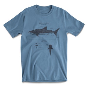 Whale Shark Anatomy T-shirt, Whale Shark T shirt, Marine Biology Shirt, Nautical T Shirt, Shark Gift, Shark Shirt, Beach T shirt Blue