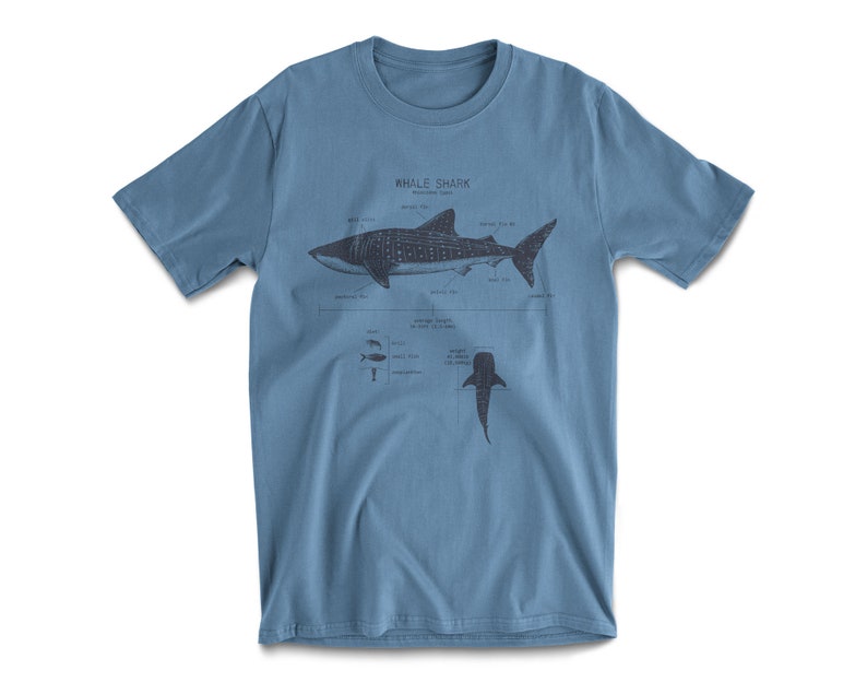 Whale Shark Anatomy T-shirt, Whale Shark T shirt, Marine Biology Shirt, Nautical T Shirt, Shark Gift, Shark Shirt, Beach T shirt Blue