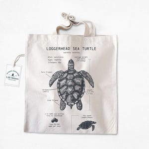 Sea Turtle Anatomy Tote Bag, Loggerhead Sea Turtle Tote Bag, Natural Cotton Canvas Bag, Screen Printed Turtle Tote, Sea Turtle Biology Art