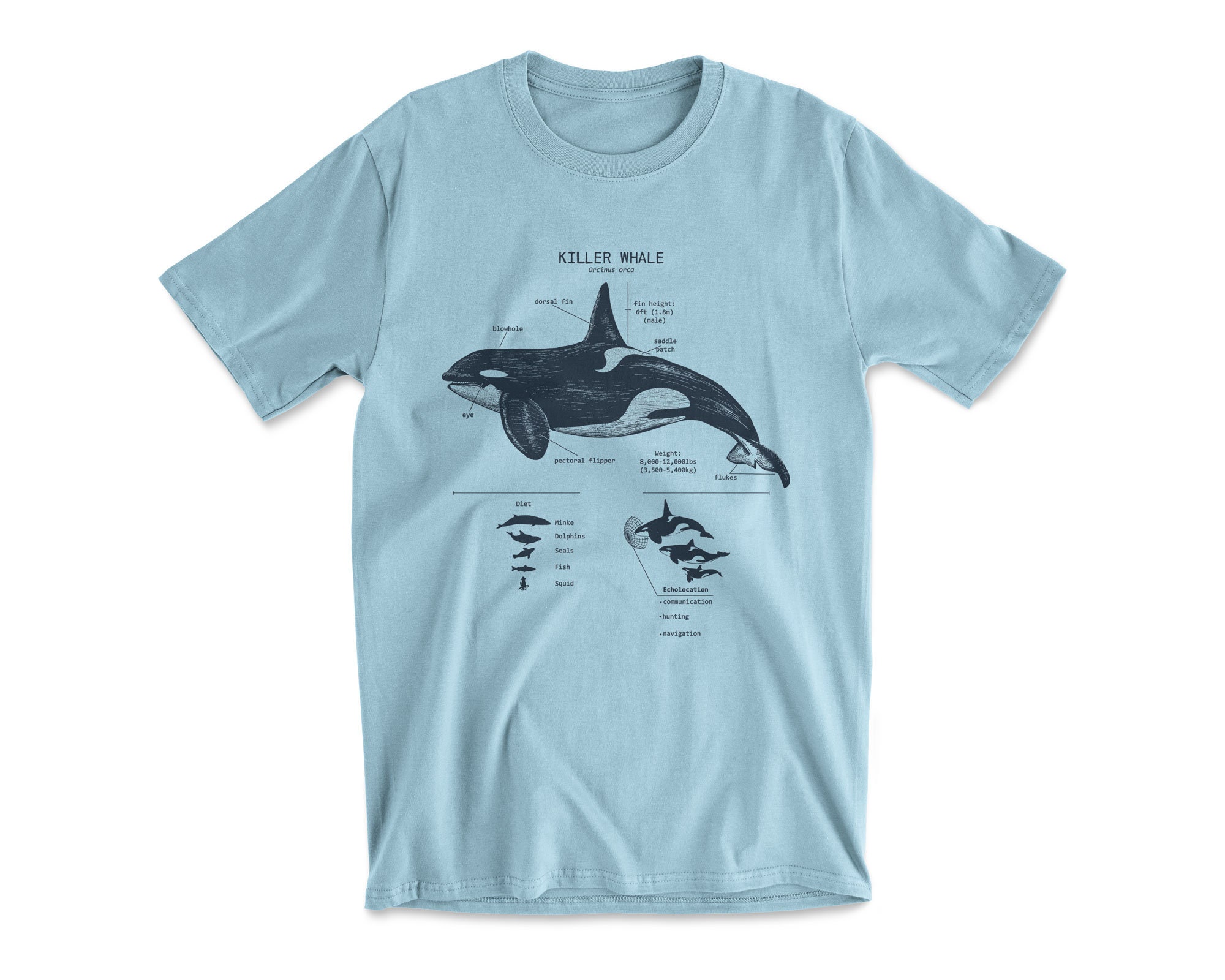 Discover Killer Whale Anatomy T shirt