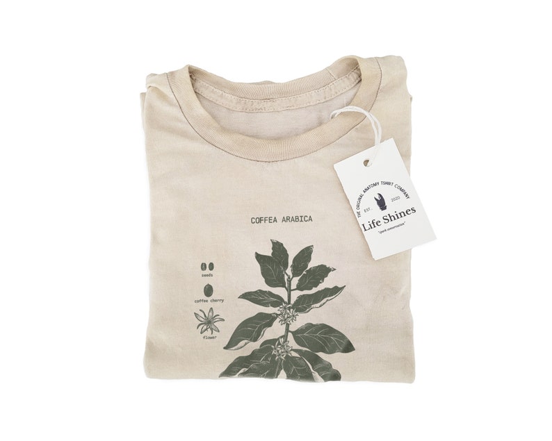 Coffee Dyed Botany Diagram T Shirt, Coffee Dyed Shirt, Screen Printed Coffee T Shirt, Botanical Coffee Art image 2