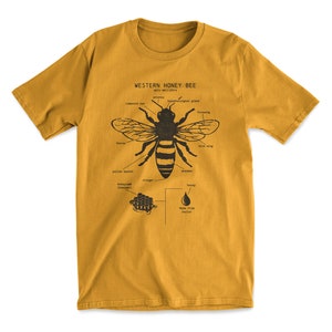 Honey Bee Anatomy T shirt, Western Honey Bee T Shirt, Bee Keeper Shirt, Original Bee Artwork, Honey Bee Biology, Honey Bee Animal Anatomy™ Honey