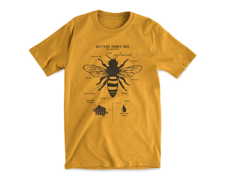 Honey Bee Anatomy T shirt, Western Honey Bee T Shirt, Bee Keeper Shirt, Original Bee Artwork, Honey Bee Biology, Honey Bee Animal Anatomy™ Honey